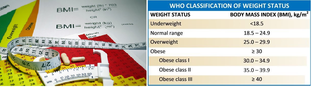 Photograph a BMI and BMI scale.