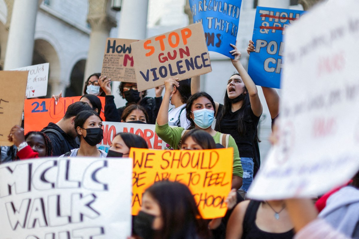 Photograph of students protest for gun law reform.